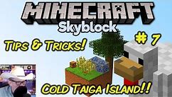 CubeCraft SkyBlock Playthrough – Cold Taiga – Third Island