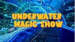 Underwater Magic Show in Chennai! | VGP Marine Kingdom