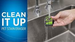 How do I clean my Pet Stain Eraser™ after I use it?