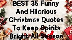 BEST 35 Funny And Hilarious Christmas Quotes To Keep Spirits Bright All Season