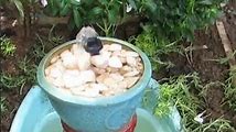 DIY Garden Pond Fountain: A Simple and Affordable Project