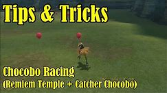 Final Fantasy X Chocobo Racing Tutorial (Remiem Temple and Catcher Chocobo Race)