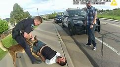 Federal lawsuit claims Castle Rock police let K-9 attack handcuffed man