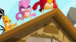 Angry Birds: Summer Madness is Now Streaming | Netflix