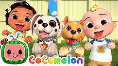 Puppy Play Date | CoComelon Nursery Rhymes & Kids Songs