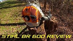 Stihl BR 600 Backpack Blower Test and Review