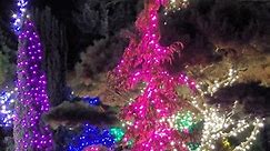 Kino - Christmas Light Display At Evergreen Arboretum & Gardens (Cellphone Recording)