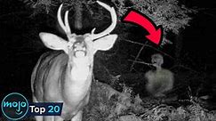 Top 20 Creepiest Things Caught on Trail Cameras