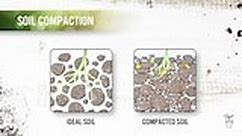 Compacted Soil Solutions - Gardening Australia