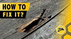 How to Repair Damaged Deck Boards That Rot or Have Holes