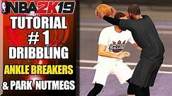 NBA 2K19 Ultimate Dribbling Tutorial - How To Do Ankle Breakers & Park Crossovers By ShakeDown2012