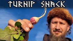Turnip Snack: Viking Food and Cooking