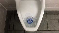 🚽 Bathroom Tour Kohler Urinal and Mansfield Toilet at Taco Bell Williamsburg, VA