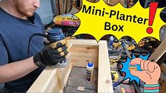 Building a Mini Planter box for 20$