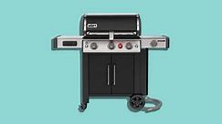 The Best Grills for Barbecuing