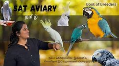 SAT Aviary | Hand tamed chicks and birds for sale | Hand feeding macaws | cockatoo | Grey parrot