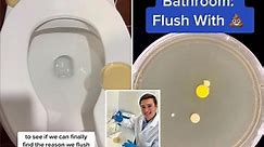 You’re flushing the toilet wrong: Scientist lifts lid on dirty secrets