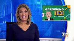 Gardening 101: What to plant during a mild winter