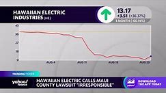Hawaiian Electric stock skyrockets, calls Maui lawsuit 'irresponsible'