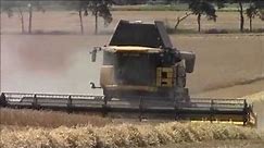 New Holland cr9090 Harvesting barley.2014.wvm