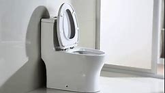 WOODBRIDGEE Modern Elongated One piece Toilet Dual flush 1.0/1.6 GPF,with Soft Closing Seat,1000 Gram MaP Flushing Score Toilet with Chrome Button B0750-CH, White