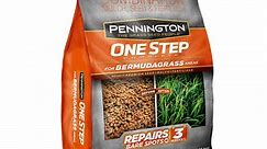Pennington One Step Complete Bermuda Patch and Repair Grass Seed Mix, for Full Sun, 5 lb.