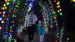 The holiday spirit is all over Georgia with these 16 can't-miss Christmas lights displays