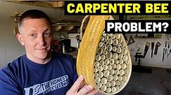 How Much DAMAGE Can CARPENTER BEES Cause?! (What To Do About Carpenter Bees/How To Get Rid?)