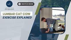 Lumbar Cat Cow Exercise Explained / Lexington, Kentucky Chiropractor
