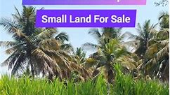 13 Gunta Farmland Sale Near Bengaluru #farmland #propertyforsale #bengaluru #99acres #agriculture 12 km from Channapatna 55 km from Kengeri 60 feet main road attached west face 130 feet road facing triangle shape general property clear documents suitable for farmhouse invest commercial no borwell but good water source, red soil near village price: 3.5 lakh Gunta Charan : 7338474334 #property #propertyforsale #kengeri #realestate #realestateagent #realestateinvesting #99acres #farmlandsale | Char