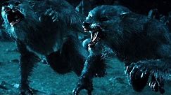 Top 10 Werewolf Movies (REDUX)
