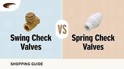 Differences Between Swing Check Valves and Spring Check Valves
