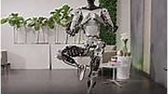 Watch as Tesla's humanoid robot Optimus performs yoga