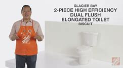 Glacier Bay 2-piece 1.1 GPF/1.6 GPF High Efficiency Dual Flush Elongated Toilet in Black, Seat Included N2316-BLK