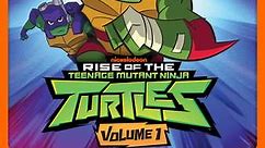 Rise of the Teenage Mutant Ninja Turtles: Volume 1 Episode 11 The Purple Jacket/Pizza Pit