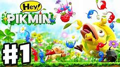Hey! Pikmin - Gameplay Walkthrough Part 1 - Sector 1: Brilliant Gardens! All Treasures! Nintendo 3DS