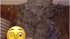 Dryer vent cleaning jumpscare compilation 🫣 #oddlysatisfying #vacuumtherapy #dryerventcleaning #shocking | Lint Away