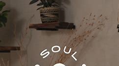Our NEW Soul Collection will arrive at a store near you in July 2024! One of the four new collections from our reimagined Urban Jungle lineup, Soul uses clay slips, metals, and grasses for a monochromatic collection full of bold texture. #urbanjungle Can't wait until July to get another plant? Check your local vendors including Lowe's Home Improvement Sprouts Farmers Market Target Wegmans Kroger and Publix to get your plant fix today with our classic designs! | The Urban Jungle