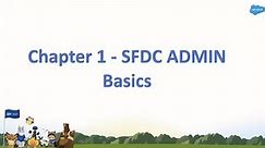 Chapter 1 - Salesforce Admin Basics in Hindi || Salesforce Tutorial