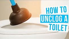 How to UNCLOG A TOILET | with OR without a plunger!
