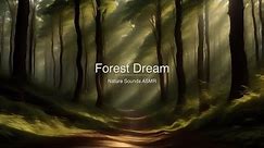 Forest Path Dream | Nature Ambience | ASMR
