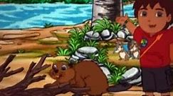 Go Diego Go S04E09 Diego Saves The Beavers
