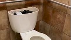 Replacing a toilet for @petsmart 🚽🐶🐱 #plumbing #plumber #plumbproud #plumblife #bathroom #bathroomcleaning #toilet #toilets #toiletinstall #plumbingrepair #diy #howto #asmr #reels #reelsviral #reelsvideo #serviceplumber | Theconservativeplumber