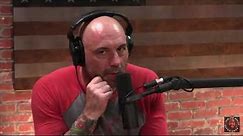 Joe Rogan Gets Emotional Talking About His Dogs