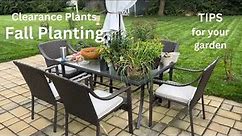 Fall Planting my Clearance Plants from LOWES