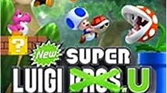 New Super Luigi