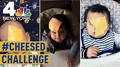 What is the 'Cheesed' Challenge? Viral Videos Show Parents Tossing Cheese on Babies | NBC New York