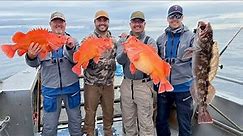 Halibut-Salmon-Rockfish-Lingcod COMBO Charter Fishing in Seward, Alaska! Fishing w/ MILLERS LANDING!