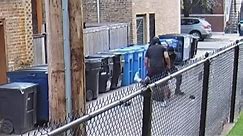 Attack in Chicago alley caught on camera