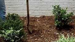 The combo of warm soil and cool... - Lowe's Home Improvement